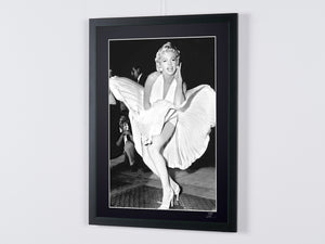 Marilyn Monroe (6)