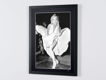 Marilyn Monroe (6)