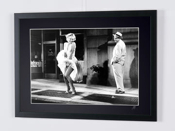 Marilyn Monroe (5)
