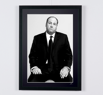The Sopranos - James Gandolfini (Tony Soprano), portrait assis en costume