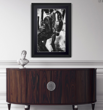 Alien (1979) — The Xenomorph, a creature with an elongated head, seen in profile, framed cinema photograph in black and white, in your home.