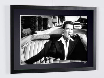 Arnold Schwarzenegger (3)