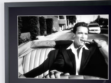 Arnold Schwarzenegger (6)