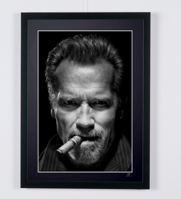 Arnold Schwarzenegger (8)