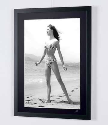 Brigitte Bardot (4)
