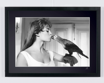 Brigitte Bardot (1)