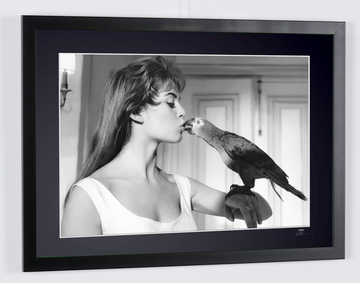 Brigitte Bardot (3)