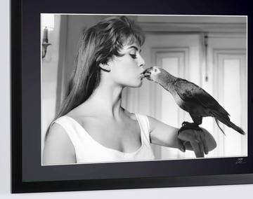 Brigitte Bardot (4)