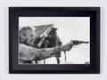 Image for Unforgiven (1992) — Clint Eastwood — William Munny