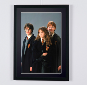 Harry Potter - Cast Press Meeting for the first film — framed cinema photograph, Fine Art print
