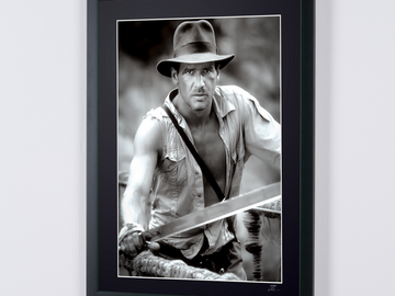 Harrison Ford (8)