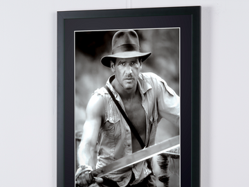 Harrison Ford (9)