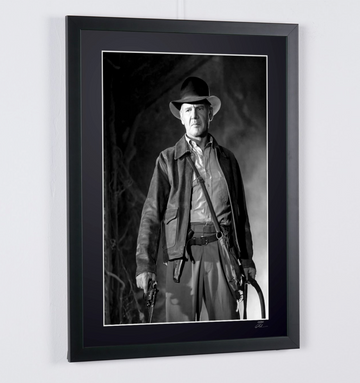 Harrison Ford (3)
