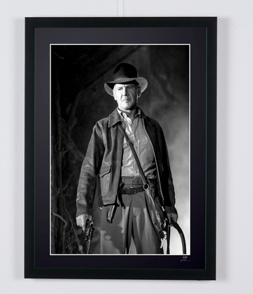 Harrison Ford (8)