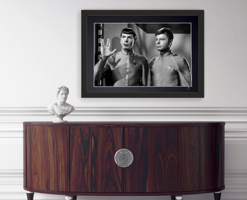 Leonard Nimoy (8)
