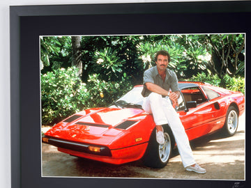 Tom Selleck (6)