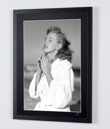 Marilyn Monroe (6)