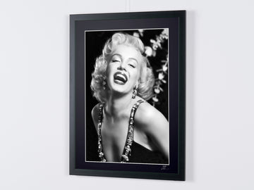 Marilyn Monroe (6)