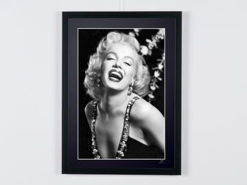 Marilyn Monroe (8)