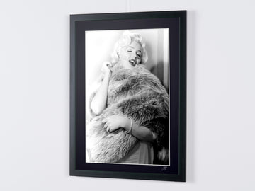 Marilyn Monroe (7)