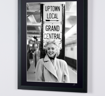 Marilyn Monroe (7)