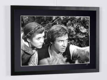 Harrison Ford (3)