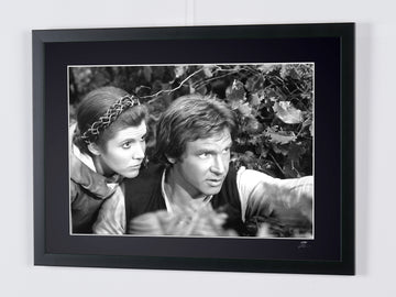 Harrison Ford (5)
