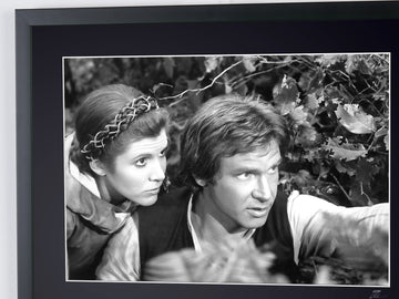 Harrison Ford (6)