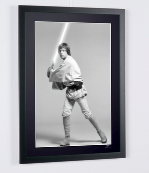 Mark Hamill (7)