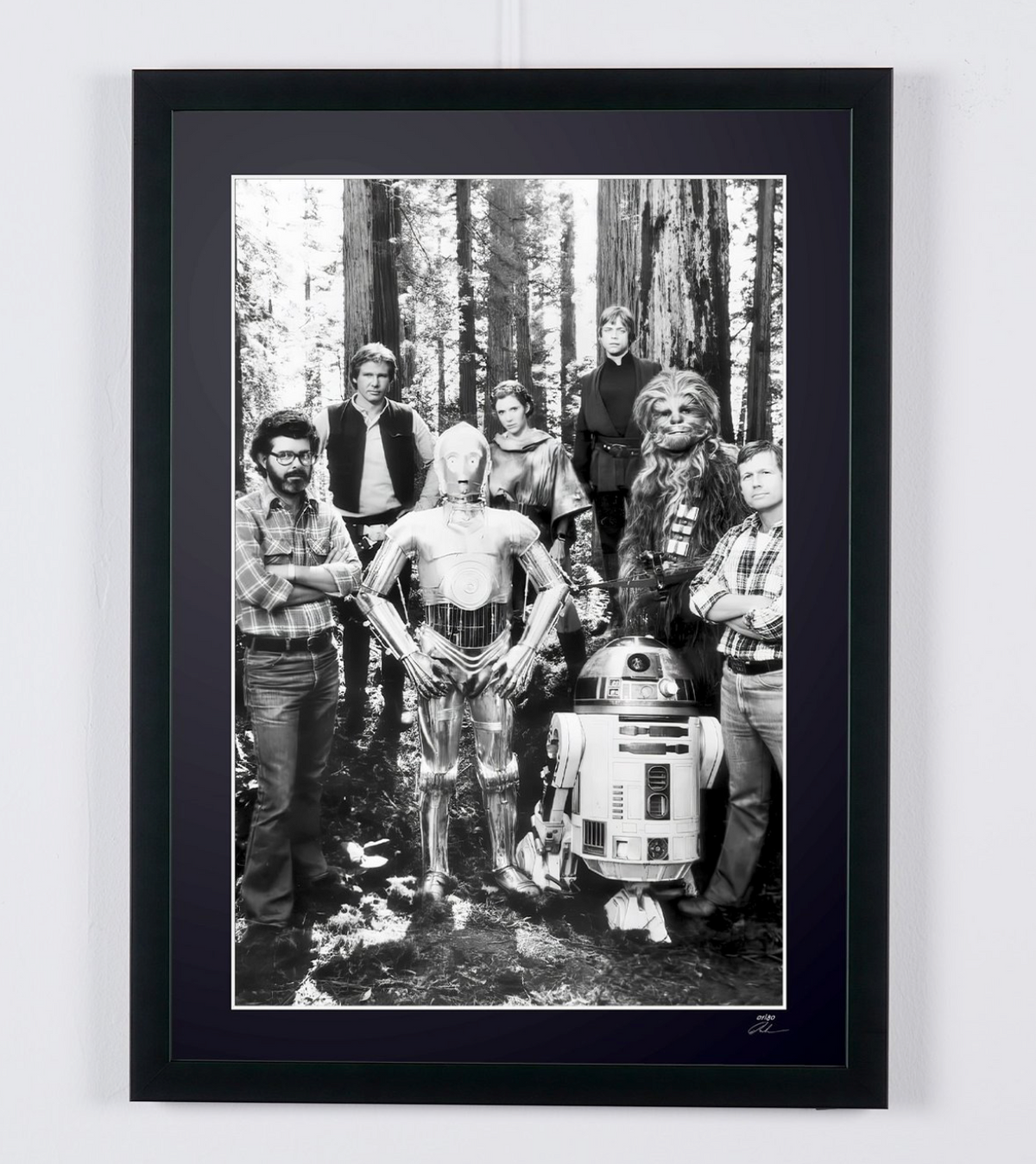 Fine art photograph of Mark Hamill in Star Wars : Le Retour du Jedi, hand-framed — limited edition of 30 numbered prints.