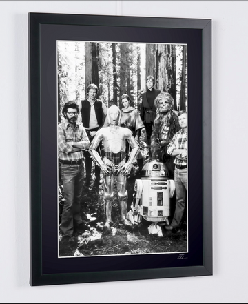 Mark Hamill (4)