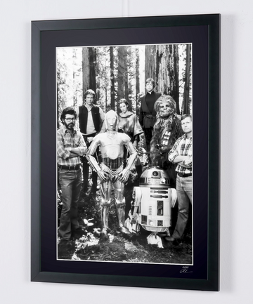 Mark Hamill (5)