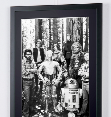 Mark Hamill (6)