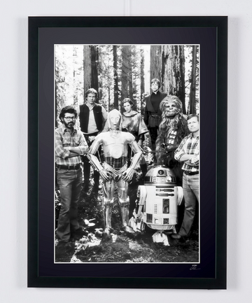 Mark Hamill (7)
