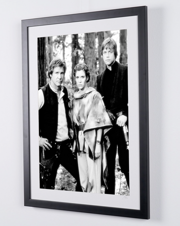 Harrison Ford (3)