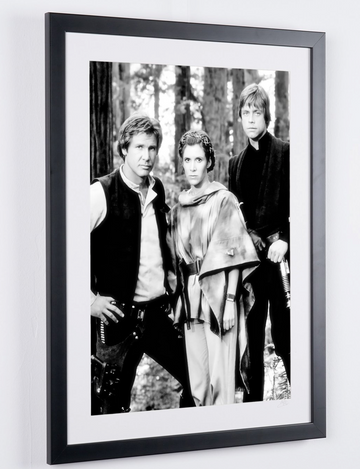 Harrison Ford (5)