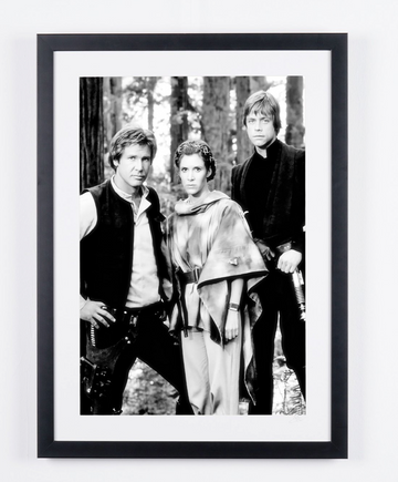 Harrison Ford (6)