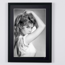 Captura de pantalla 2026 02 25 a las 15.42.30