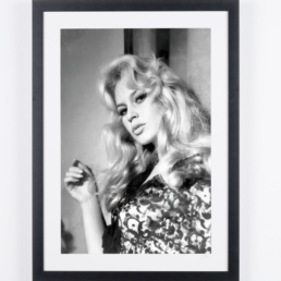 Captura de pantalla 2026 02 25 a las 16.39.33