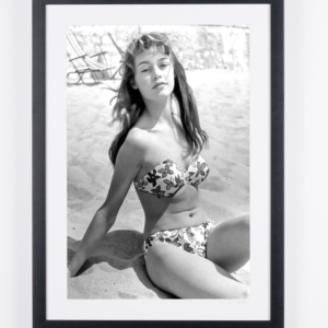 Screenshot 2026 02 25 at 5:05:01 p.m.