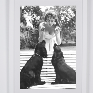 Captura de pantalla 2026 02 25 a las 17:17:33