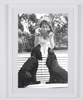 Captura de pantalla 2026 02 25 a las 17.17.33