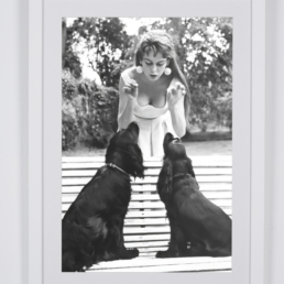 Captura de pantalla 2026 02 25 a las 17.17.33