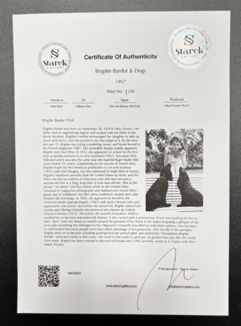 Captura de pantalla 2026 02 25 a las 17.17.45