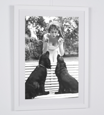 Captura de pantalla 2026 02 25 a las 17.17.56