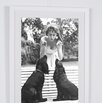 Captura de pantalla 2026 02 25 a las 17.18.06