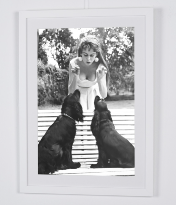 Captura de pantalla 2026 02 25 a las 17.18.21