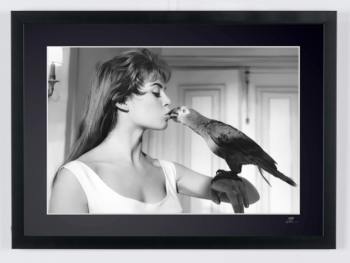 Captura de pantalla 2026 02 25 a las 17.35.40