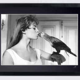 Captura de pantalla 2026 02 25 a las 17.35.40