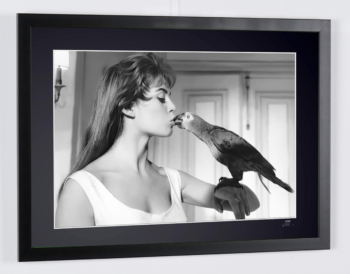 Captura de pantalla 2026 02 25 a las 17.36.03